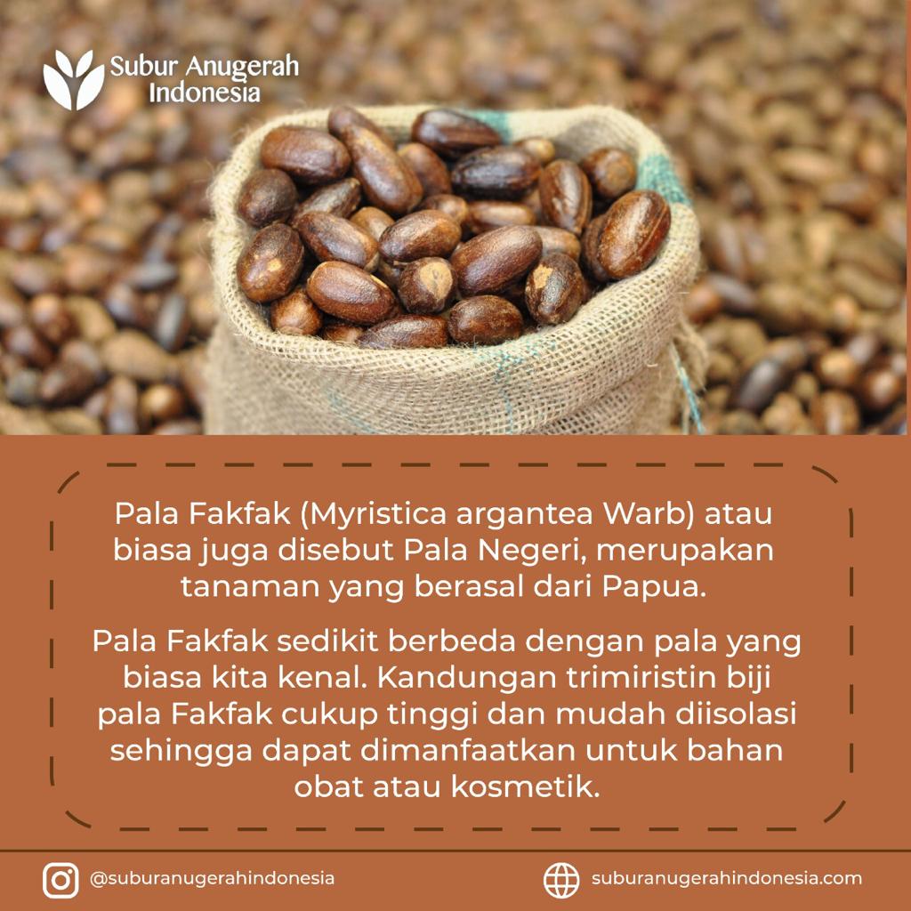 WhatsApp Image 2021-04-29 at 12.01.59 (4)