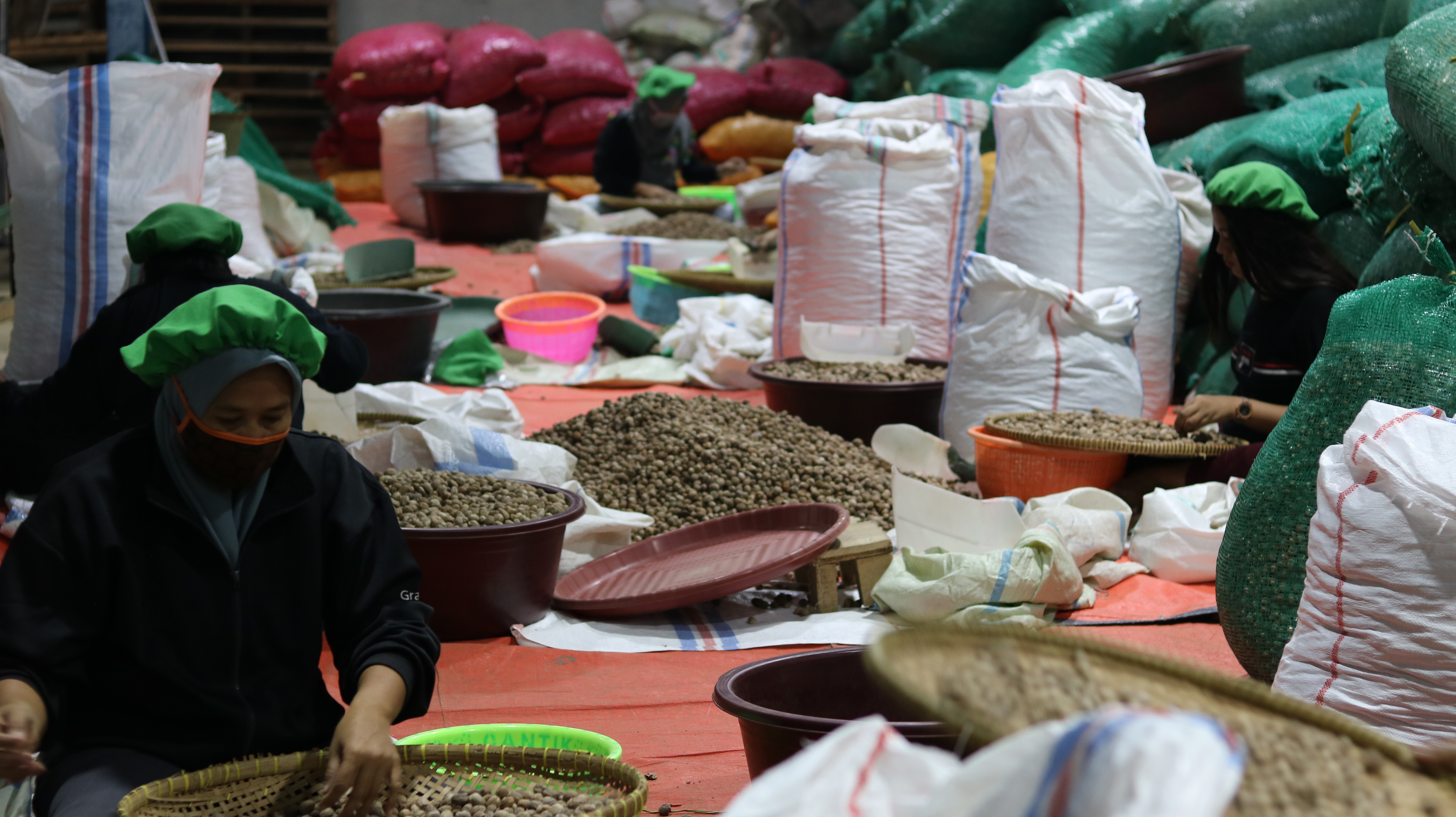 Nutmeg Grading Workforce